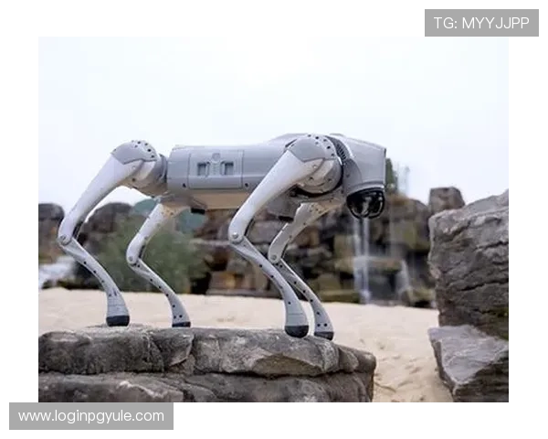 快速注册PA视讯账号的完整步骤及注意事项帮你轻松搞定